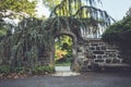 Beautiful stone archway with ornamental evergreens at Ringwood State Park, NJ in vintage setting