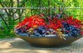 Beautiful stone bowl planter filled with plants and red flowers, summer garden decoration Royalty Free Stock Photo