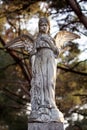 Beautiful stone statue of angel in old cemetery Royalty Free Stock Photo