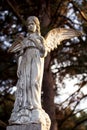 Beautiful stone statue of angel in old cemetery Royalty Free Stock Photo