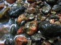 Beautiful stones in the stream Royalty Free Stock Photo