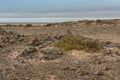 Beautiful stony landscape in the Namib Desert near the Atlantic coast, Namibia