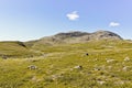 Beautiful StorebottÃÂ¥ne river, vavatn lake and mountains. Hemsedal, Norway Royalty Free Stock Photo