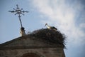 Beautiful stork in its nest on top of a chuch tower, seen from below. Soria, Spain,