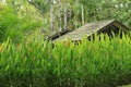 Beautiful story cottage with green shutters and a steep roof