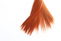 Beautiful strand of straight red hair on white background. Hairdresser service