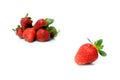 Beautiful strawberries Royalty Free Stock Photo