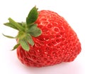 Beautiful strawberries Royalty Free Stock Photo