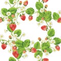 Beautiful strawberries Royalty Free Stock Photo