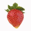 Beautiful strawberries. Royalty Free Stock Photo