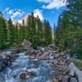 A beautiful stream in the alpine forest