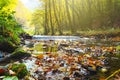 Beautiful stream in autumn forest with radiant sunlight in background