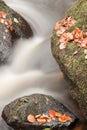 Beautiful stream flowing through Autumn Fall rocks Royalty Free Stock Photo