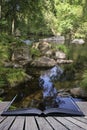 Beautiful stream flowing through forest landscape in Summer conceptual book image