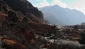 beautiful stream flowing through the scenic mountain valley, surrounded by himalaya and alpine forest Royalty Free Stock Photo