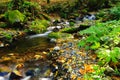 A beautiful stream near the Columbia Gorge