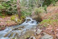 A beautiful stream on Pindus mountain, Greece Royalty Free Stock Photo