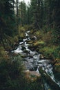 Beautiful stream in the taiga forest Royalty Free Stock Photo