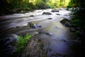 Beautiful  streaming river and fern growing in riverbank scene Royalty Free Stock Photo