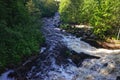 Beautiful  streaming river and forest scene Royalty Free Stock Photo