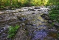 Beautiful  streaming river and forest scene Royalty Free Stock Photo