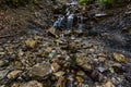 Beautiful streams and small waterfalls on the Eibsee Royalty Free Stock Photo