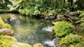 Beautiful streams, trees and rocks.in Thailand