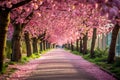 A beautiful street adorned with towering trees, lined with vibrant pink flowers blooming in full splendor, Park alley filled with Royalty Free Stock Photo