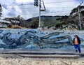 Beautiful street art in Saint James beach in Cape Town.