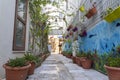 Beautiful street with decorative plants and flowers on the wall of a house, Bodrum, Turkey