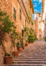 Beautiful street with flowers and plants pots in Fornalutx village on Majorca, Spain Royalty Free Stock Photo