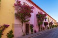 Beautiful street with flowers trees Royalty Free Stock Photo