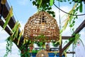 Beautiful street garland in wicker lampshade. Close-up. Street decorations. Decoration of street cafes