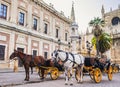 Street of Seville old town, Andalusia, Spain Royalty Free Stock Photo