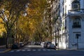 Beautiful Street lined with Colorful Trees during Autumn in the Palermo Neighborhood of Buenos Aires Argentina Royalty Free Stock Photo