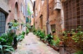 Street in the medieval old town of Siena, Tuscany, Italy Royalty Free Stock Photo