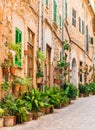 Potted plant street with rustic houses in old village on Majorca island, Spain Royalty Free Stock Photo