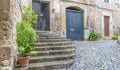 Beautiful street in Valldemossa with traditional flower decoration, famous old mediterranean village of Majorca. Balearic island Royalty Free Stock Photo