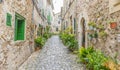 Beautiful street in Valldemossa with traditional flower decoration, famous old mediterranean village of Majorca. Balearic island Royalty Free Stock Photo