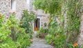 Beautiful street in Valldemossa with traditional flower decoration, famous old mediterranean village of Majorca. Balearic island Royalty Free Stock Photo