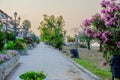 Beautiful street view with alley with flowers