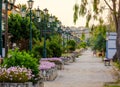 Beautiful street view with alley with flowers