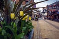 Beautiful streets in the Etretat