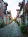 Beautiful streets of the old center of Luneburg in lower saxony germany in soft light at day with brick houses and green plants