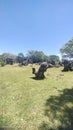 beautiful stretch of coral on open land