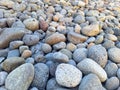 A beautiful stretch of rocks in the yard