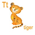 Beautiful striped dangerous tiger, wonderful bright forest cat, ABC children`s banner. Postcards, a poster with the alphabet.