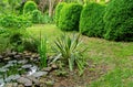 Beautiful striped leaves of Yucca gloriosa Variegata on shore of garden pond. Trimmed boxwood bush Buxus sempervirens Royalty Free Stock Photo