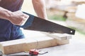 Beautiful strong hand joiner saws a wooden board. Royalty Free Stock Photo