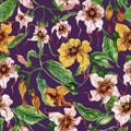 Beautiful strophanthus flowers on climbing twigs on purple background. Seamless floral pattern. Watercolor painting. Hand painted